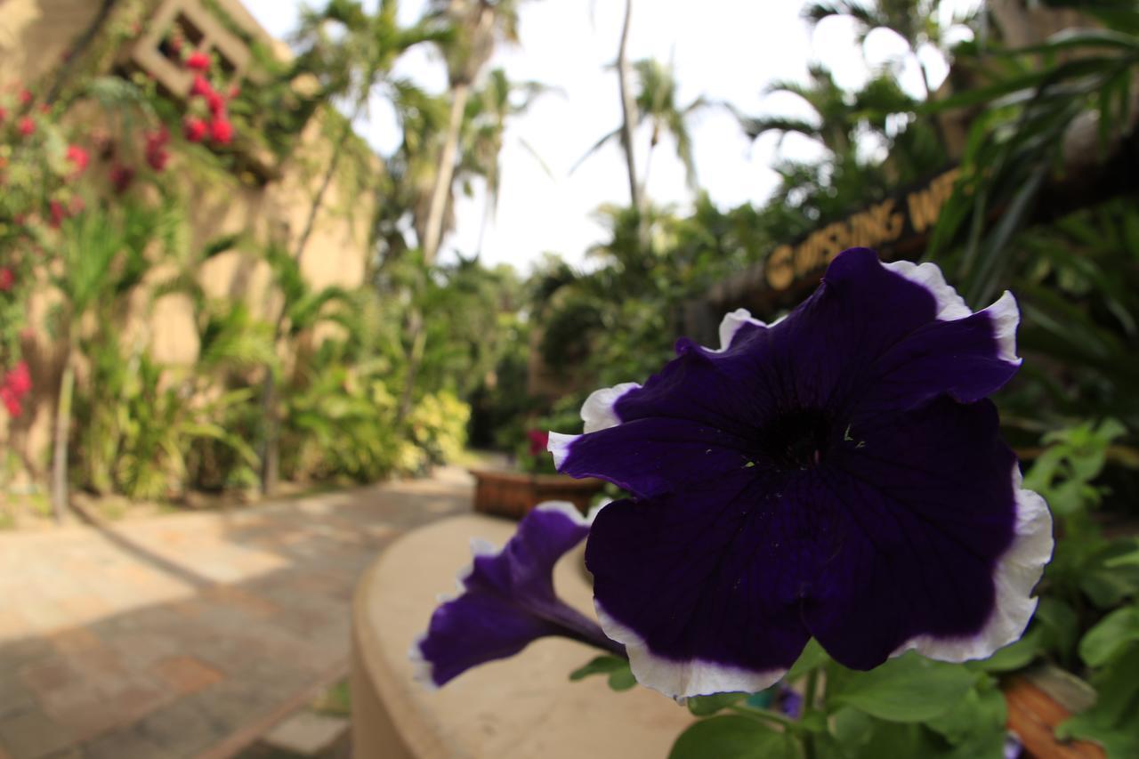 Villas El Rancho Green Resort Mazatlán Eksteriør bilde